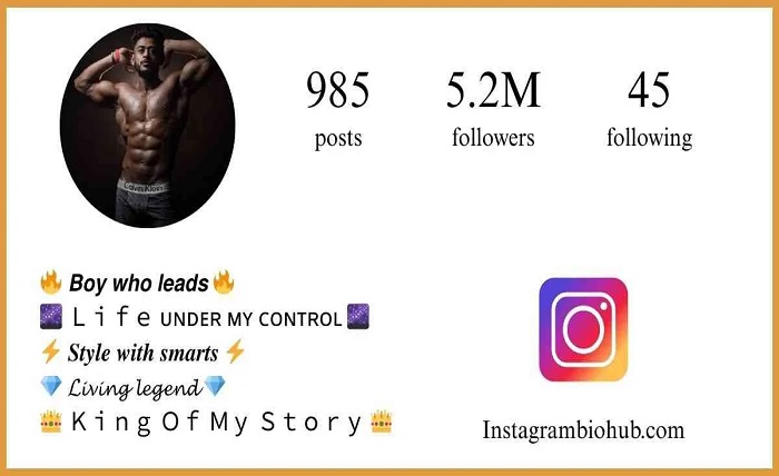 bio for instagram boy