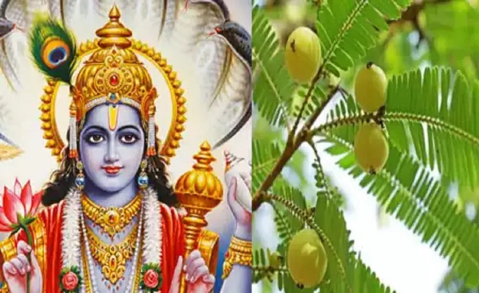 gyaras kab ki hai