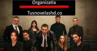 Organizatia