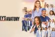 Anatomia lui Grey