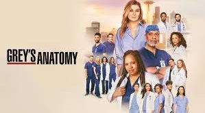 Anatomia lui Grey