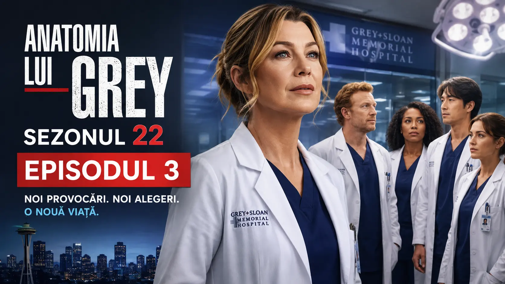 Anatomia lui Grey Sezonul 22 Episodul 3